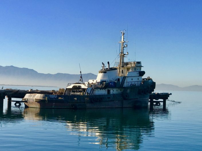 Working Tug Boat - Graving Dry Dock